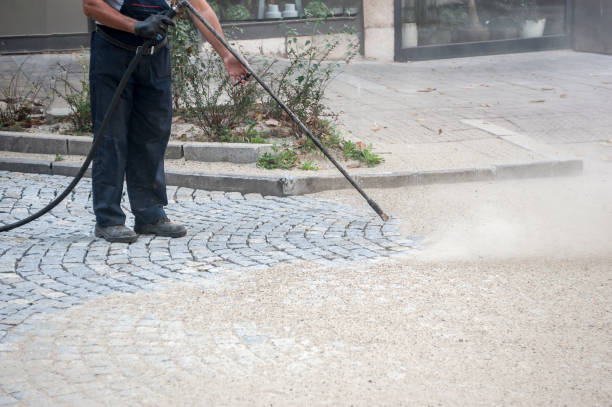Best Post-Construction Pressure Washing  in Lapeer, MI