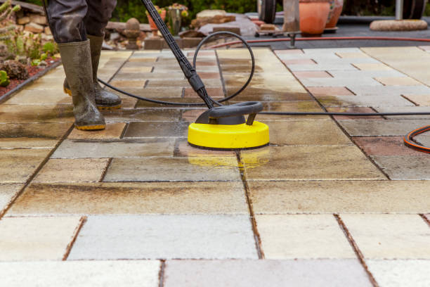 Boat and Dock Cleaning in Lapeer, MI
