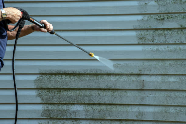 Best House Exterior Washing  in Lapeer, MI