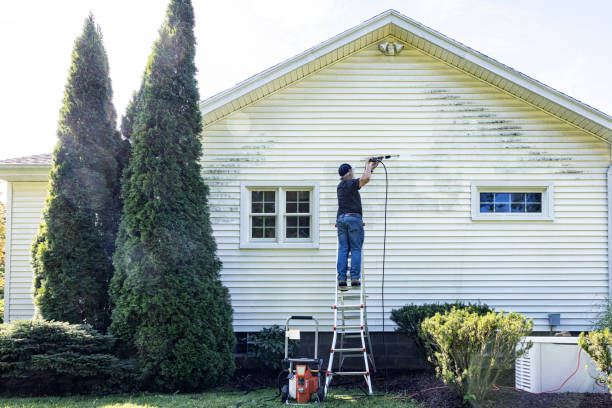 Best Gutter Cleaning  in Lapeer, MI
